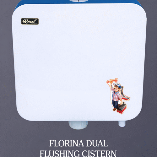 Florina Dual Flushing Cistern (4/8Ltrs)